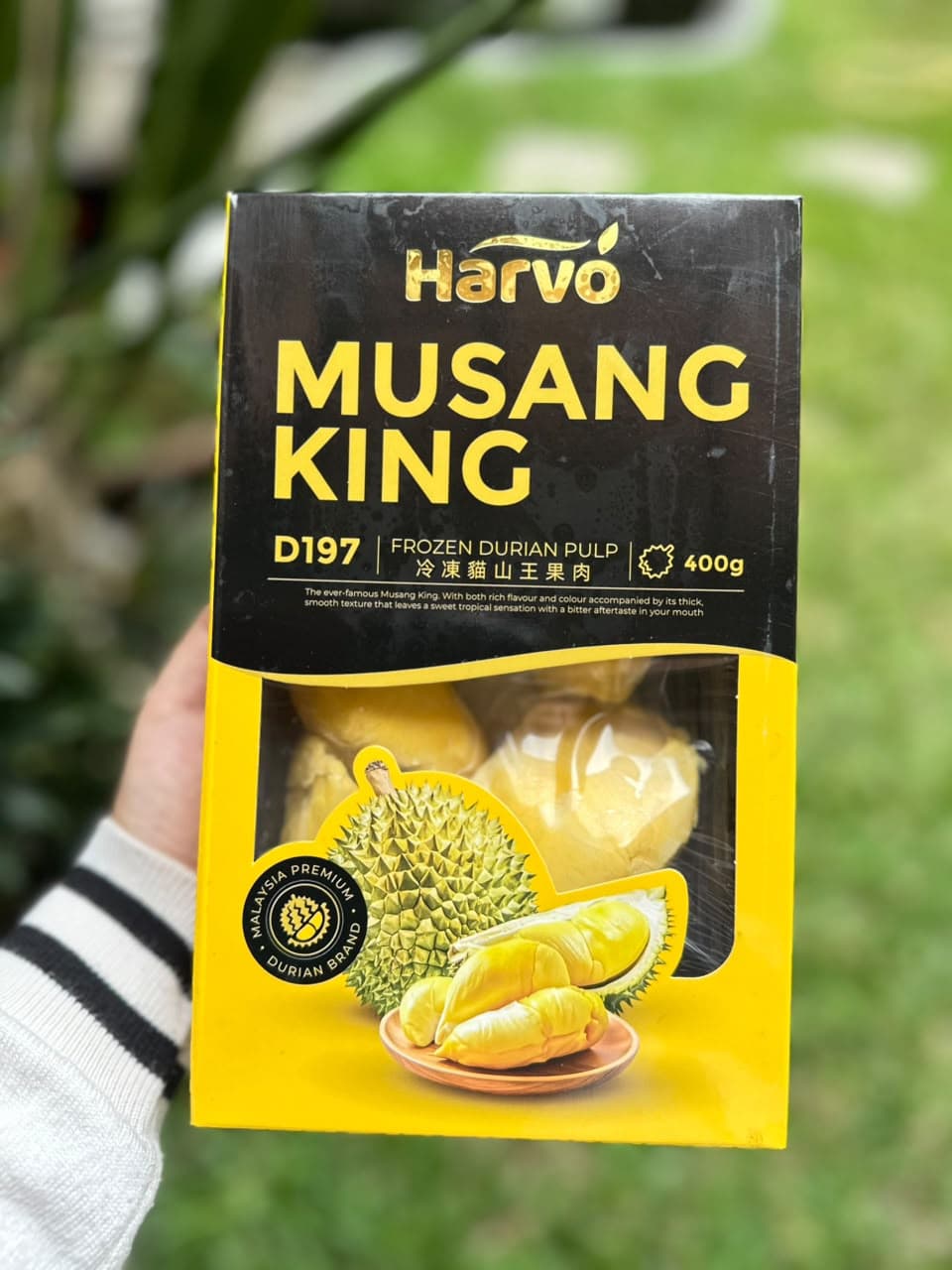 Durian Musang King Malaysia Pack 400gr - Harvo