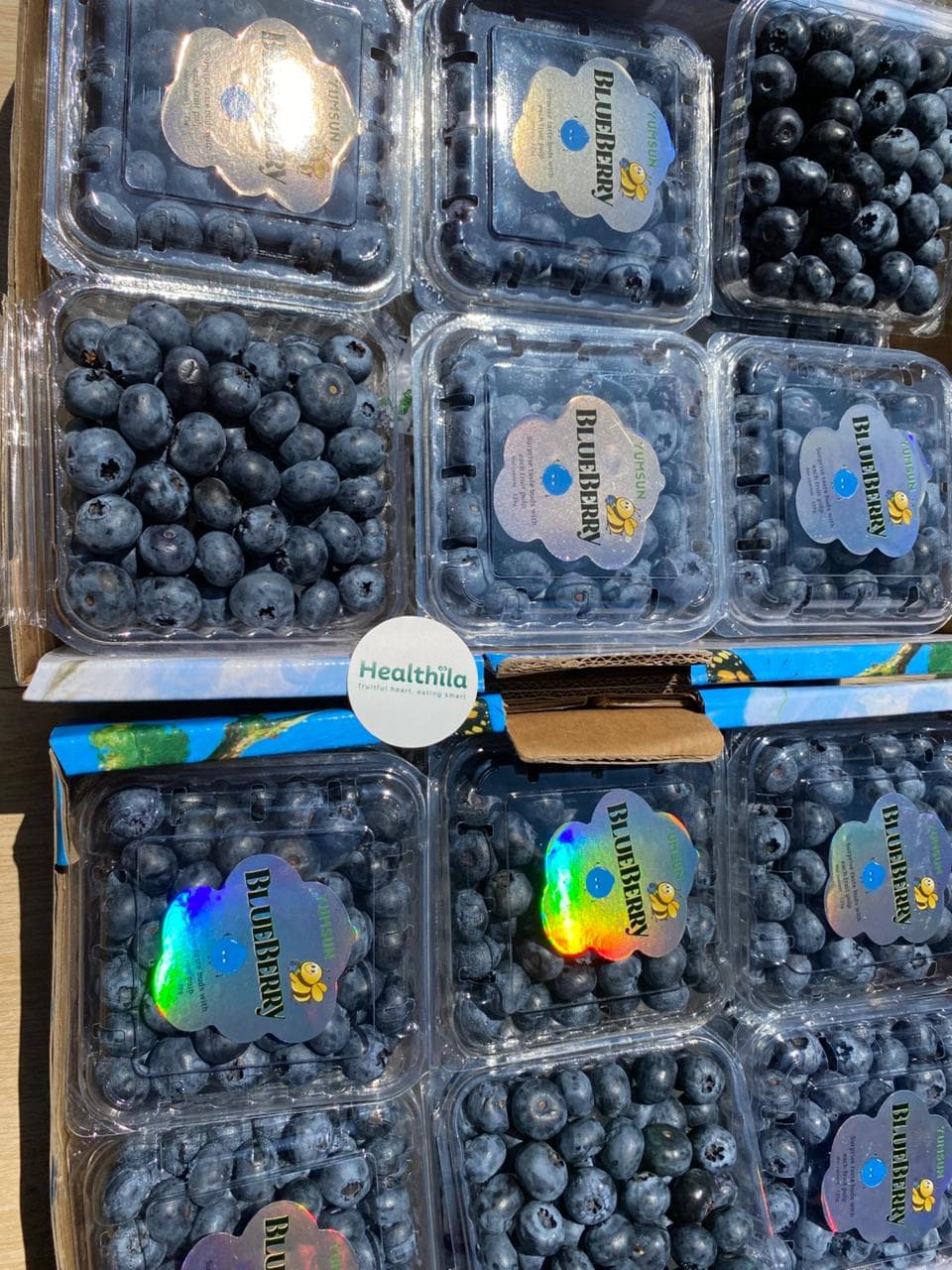 Blueberry Pack 125gr - Yumsun