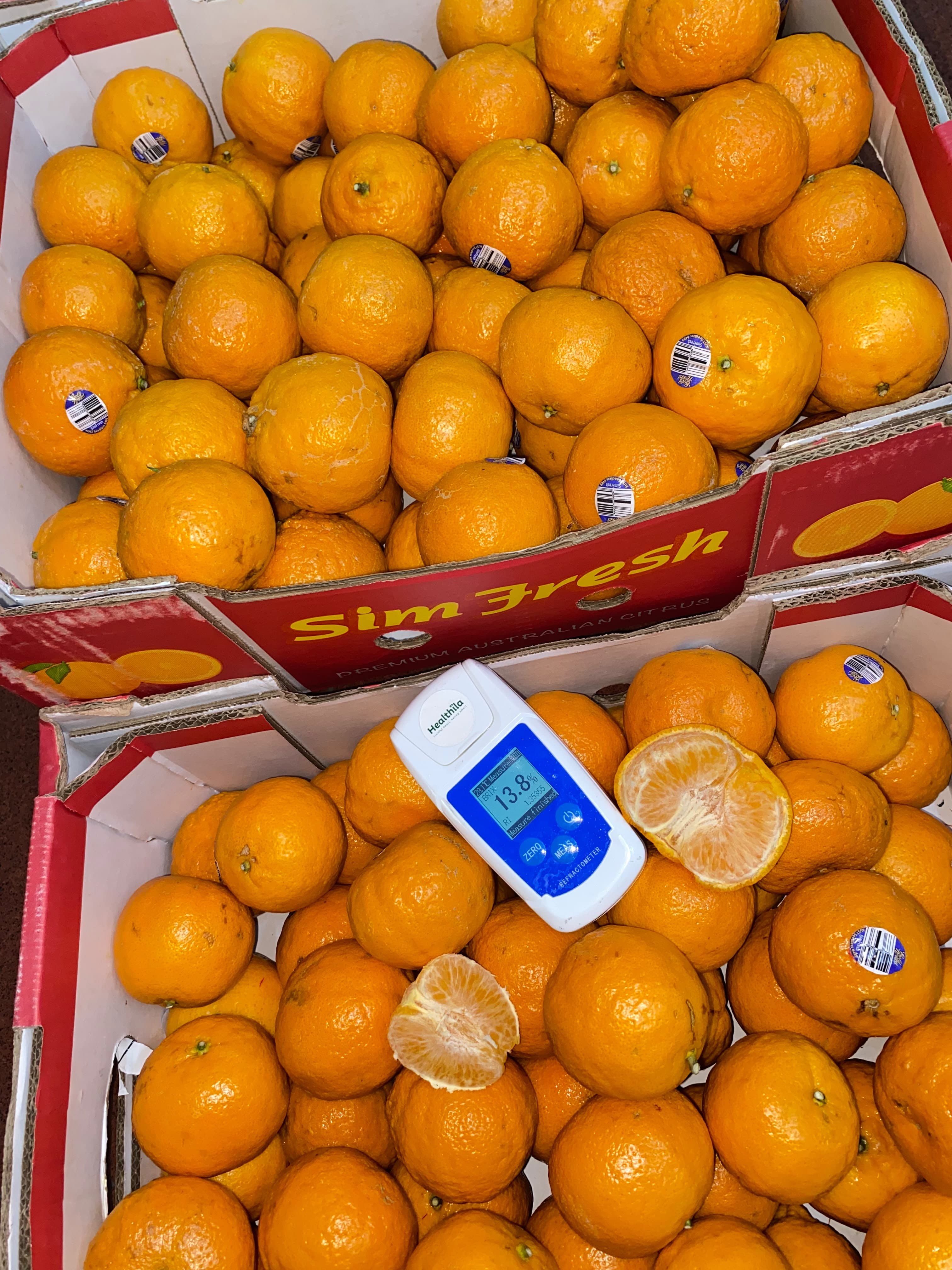 Jeruk Gold Nugget Australia - Simfresh