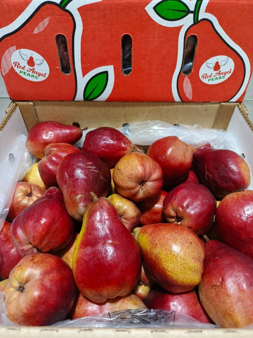 Red Angel Pear Australia - Composite