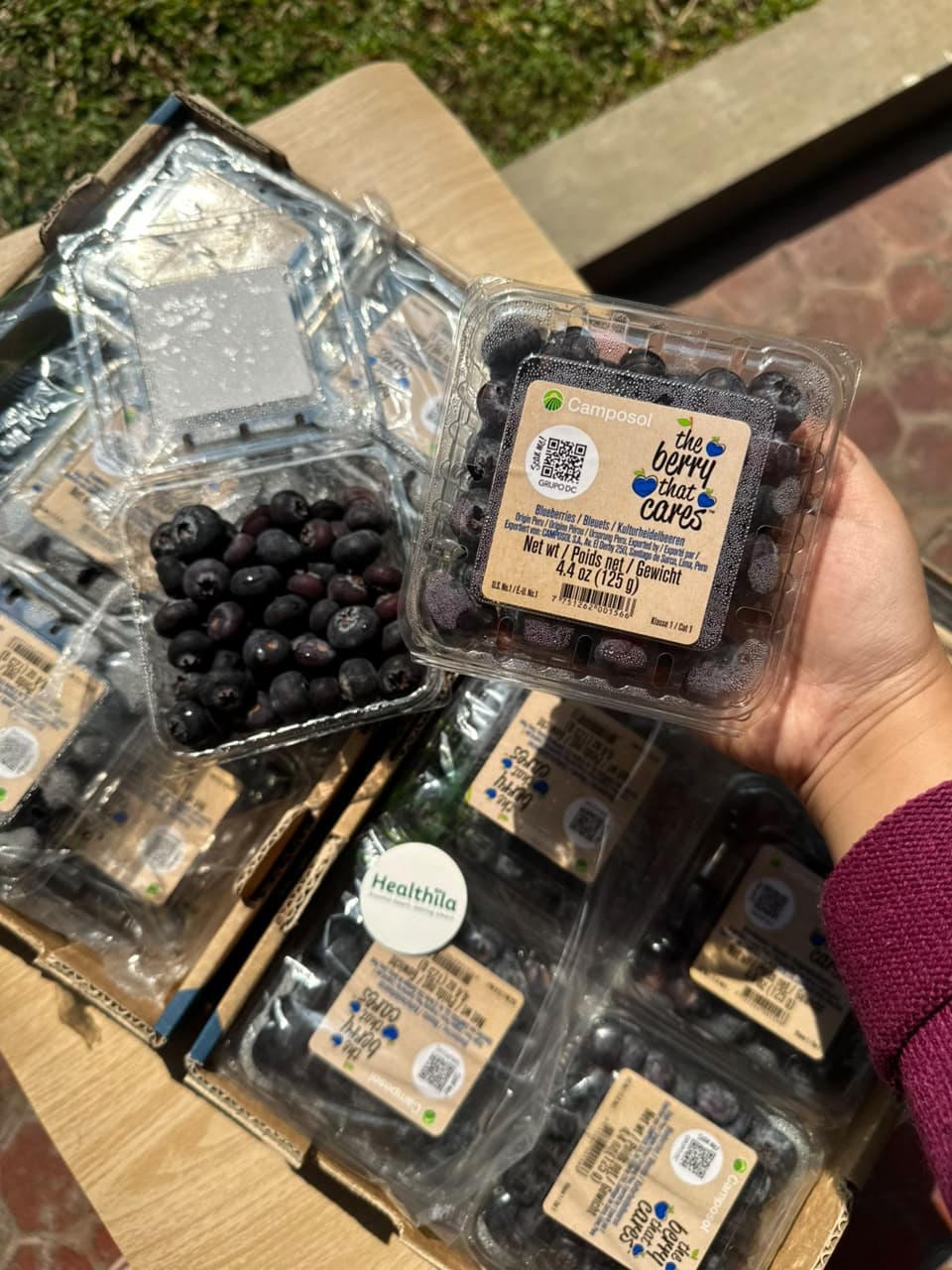 Blueberry Peru Pack 125gr - Camposol