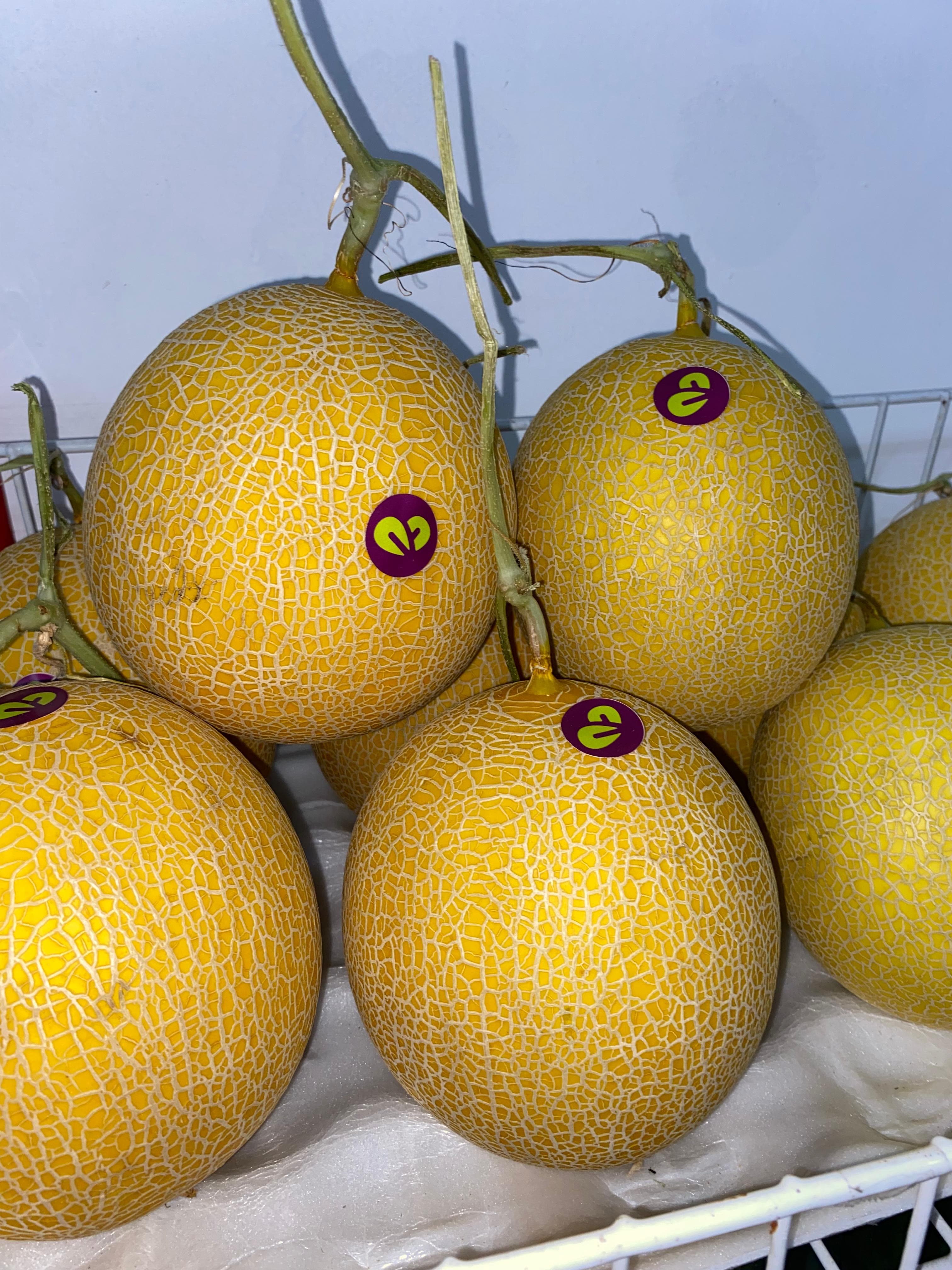 Melon Intanon
