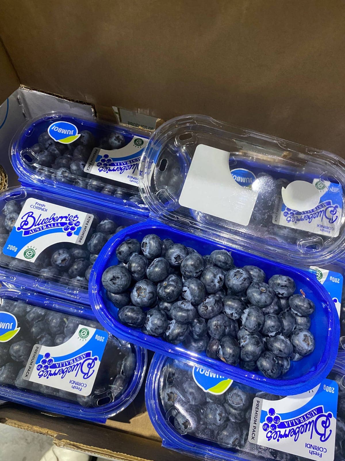 Blueberry Jumbo Australia Pack 200gr - Corrindi