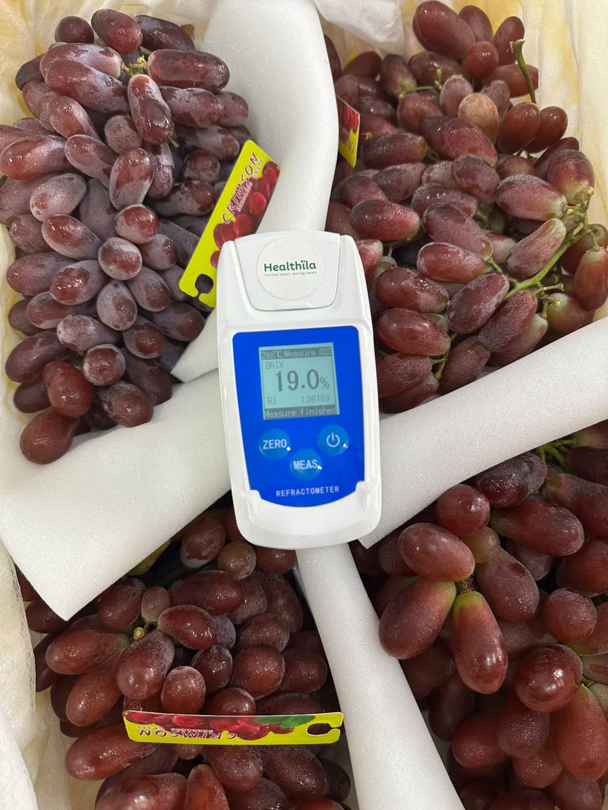 Anggur Merah Long Crimson Los - Lucky Fruit