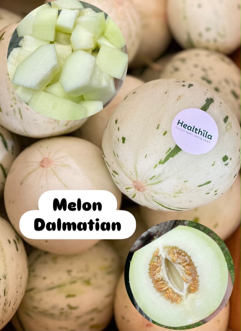 Melon Dalmatian