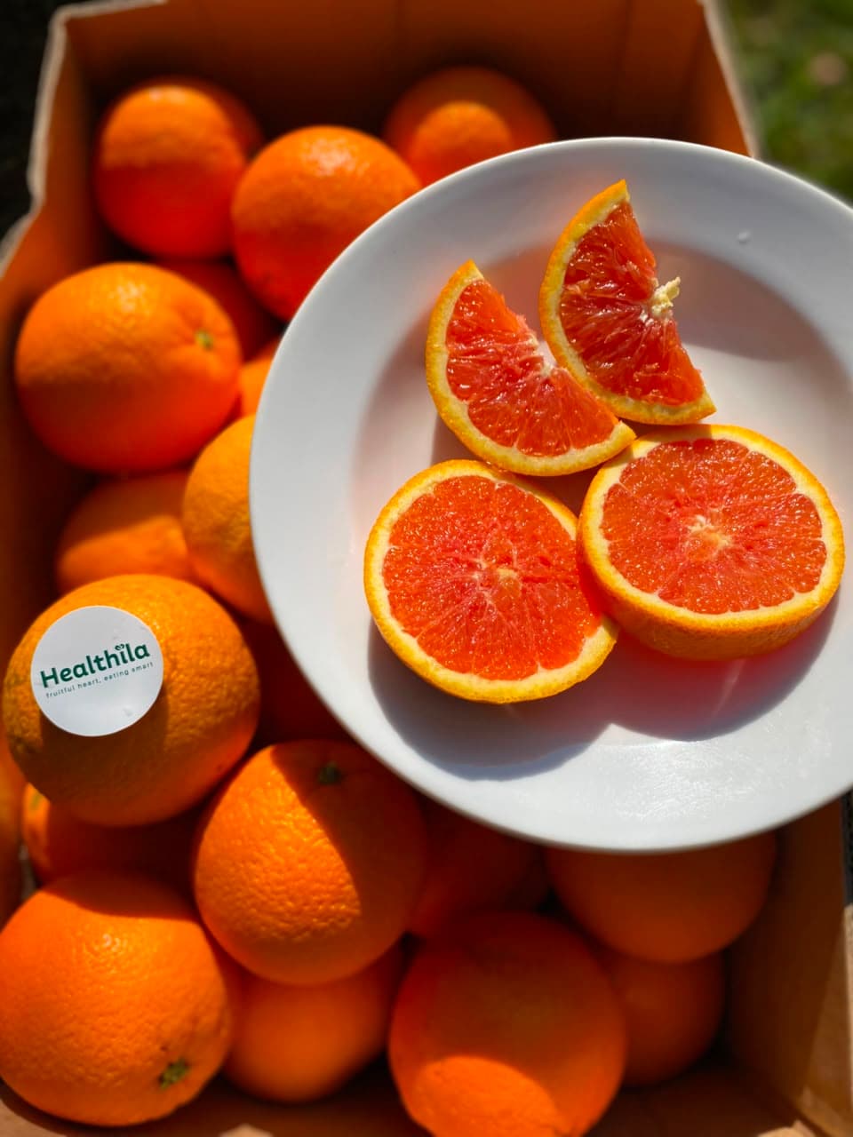 Jeruk Peras Cara Cara Australia - Simfresh