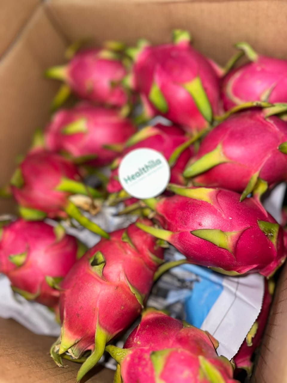 Buah Naga Putih Organik